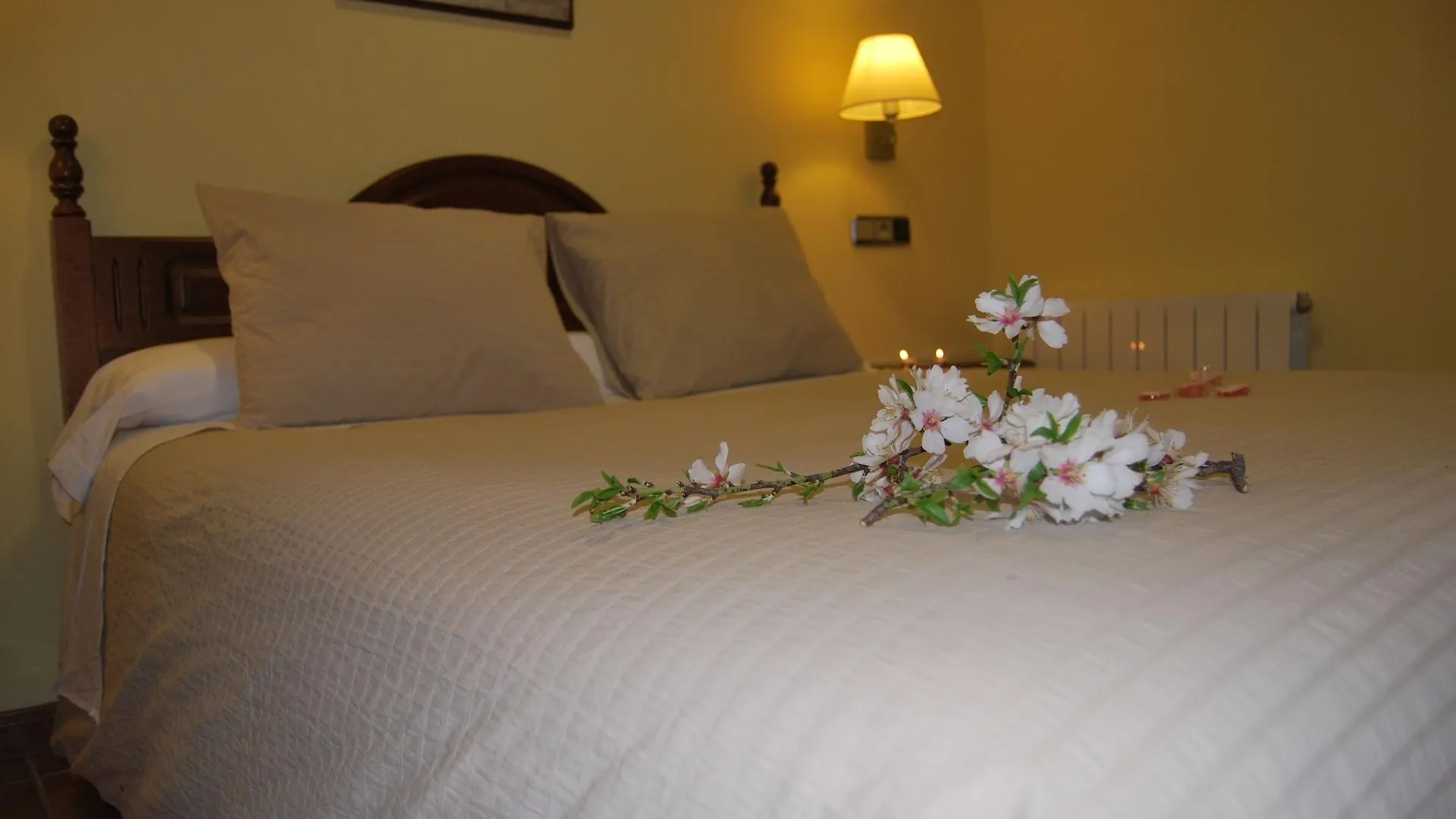 Hotel Encina Centenaria 莫纳奇尔