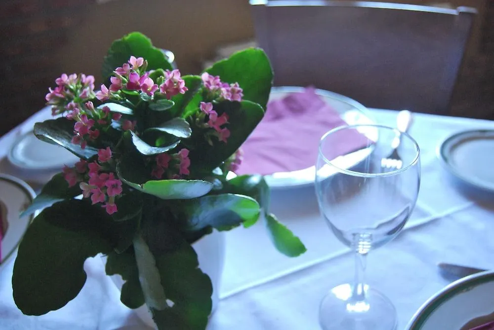 **  Hotel Encina Centenaria 莫纳奇尔 西班牙