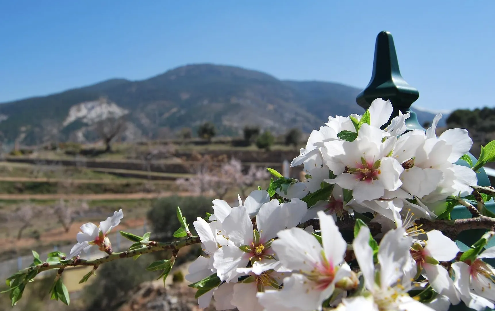 **  Hotel Encina Centenaria Monachil Spain